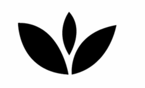  Logo (USPTO, 07.01.2019)
