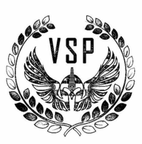 VSP Logo (USPTO, 24.07.2019)