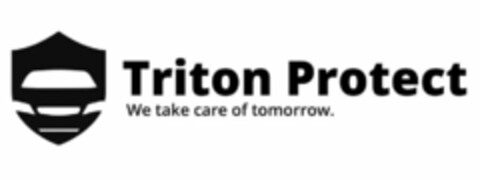TRITON PROTECT WE TAKE CARE OF TOMORROW. Logo (USPTO, 06.04.2020)