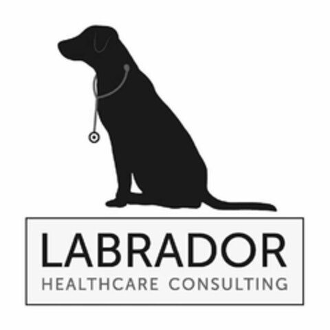 LABRADOR HEALTHCARE CONSULTING Logo (USPTO, 11/23/2015)