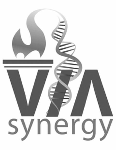 VIA SYNERGY Logo (USPTO, 03.06.2016)