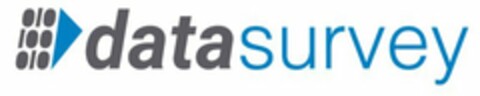 DATASURVEY Logo (USPTO, 19.05.2017)