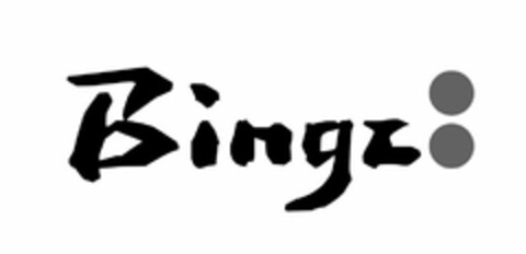 BINGZ Logo (USPTO, 02/22/2018)