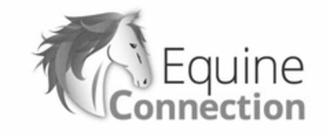 EQUINE CONNECTION Logo (USPTO, 11/23/2018)