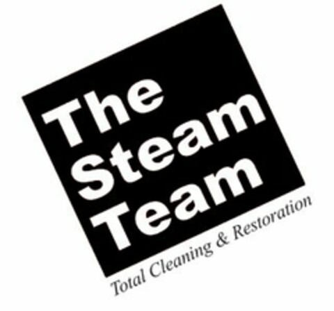 THE STEAM TEAM TOTAL CLEANING & RESTORATION Logo (USPTO, 18.09.2020)