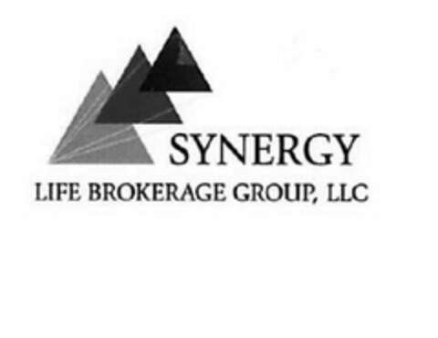 SYNERGY LIFE BROKERAGE GROUP, LLC Logo (USPTO, 23.07.2014)