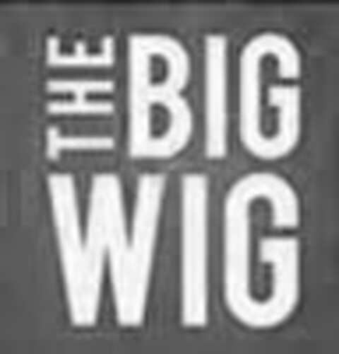 THE BIG WIG Logo (USPTO, 07.08.2017)