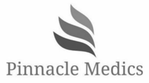 PINNACLE MEDICS Logo (USPTO, 28.07.2020)
