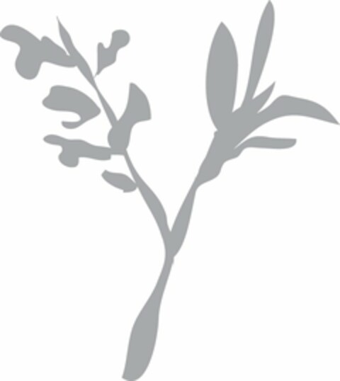 Y Logo (USPTO, 14.11.2011)