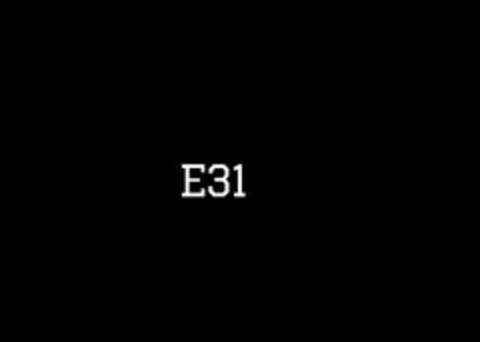 E31 Logo (USPTO, 28.09.2018)