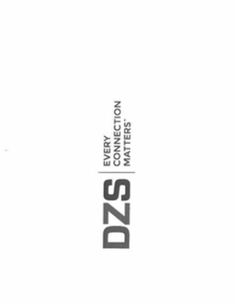 DZS EVERY CONNECTION MATTERS Logo (USPTO, 25.02.2019)