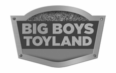 BIG BOYS TOYLAND Logo (USPTO, 22.04.2019)