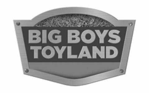 BIG BOYS TOYLAND Logo (USPTO, 04/22/2019)