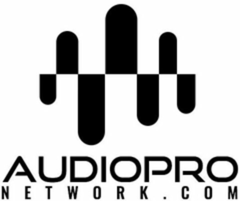 AUDIOPRO NETWORK.COM Logo (USPTO, 25.07.2019)