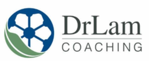 DRLAM COACHING Logo (USPTO, 16.08.2019)