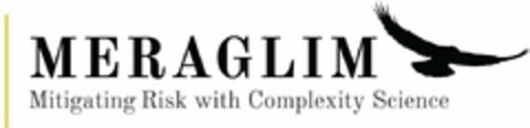 MERAGLIM MITIGATING RISK WITH COMPLEXITY SCIENCE Logo (USPTO, 07/05/2020)