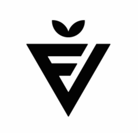 FV Logo (USPTO, 12.03.2015)