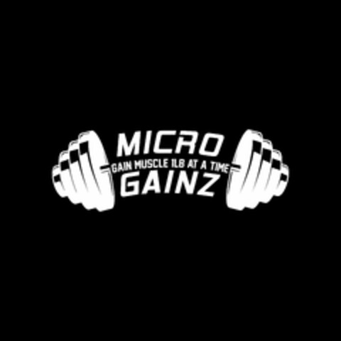 MICRO GAINZ GAIN MUSCLE 1LB AT A TIME Logo (USPTO, 10/11/2017)