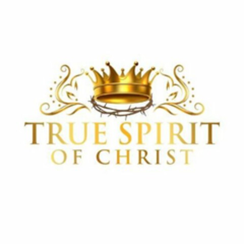 TRUE SPIRIT OF CHRIST Logo (USPTO, 02/10/2020)