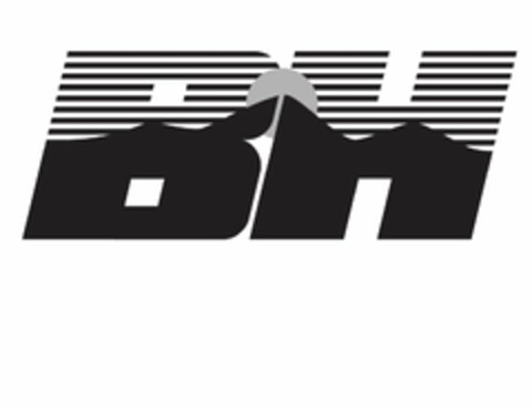 BH Logo (USPTO, 02.01.2013)