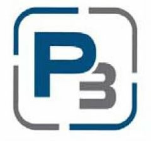 P3 Logo (USPTO, 01.11.2016)