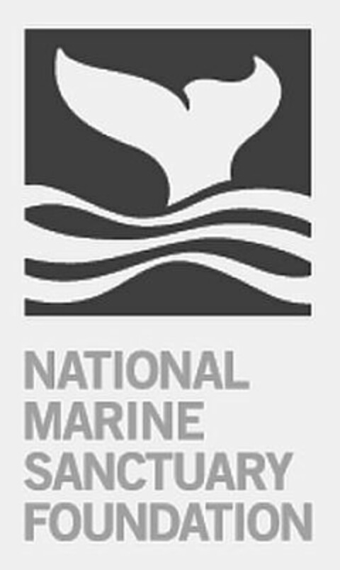 NATIONAL MARINE SANCTUARY FOUNDATION Logo (USPTO, 10.11.2016)