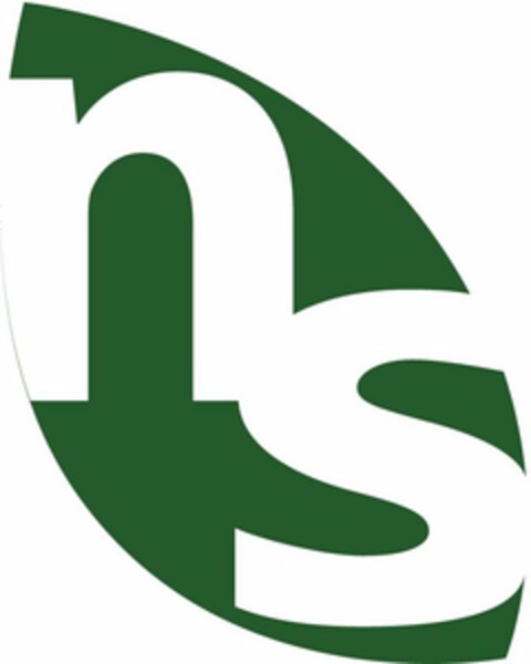 NS Logo (USPTO, 18.10.2010)