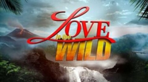 LOVE IN THE WILD Logo (USPTO, 06.02.2013)