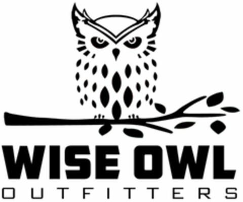 WISE OWL OUTFITTERS Logo (USPTO, 16.08.2017)