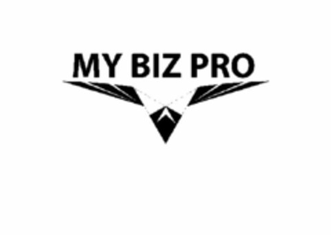 MY BIZ PRO Logo (USPTO, 07/23/2017)