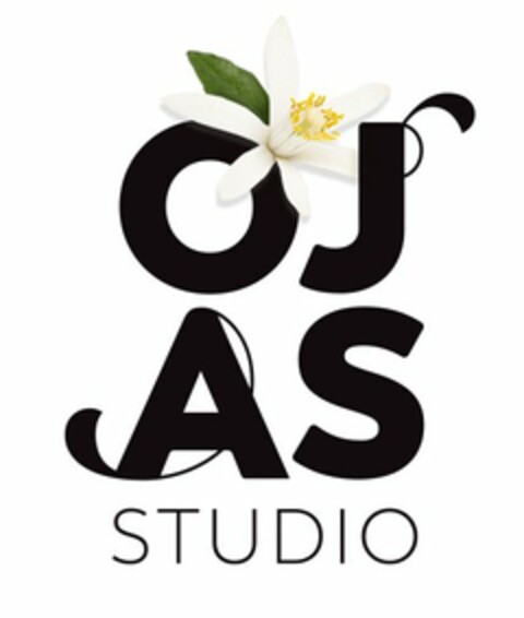 OJAS STUDIO Logo (USPTO, 07.02.2019)