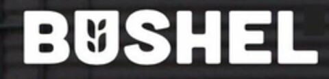 BUSHEL Logo (USPTO, 03/18/2019)