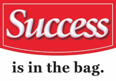 SUCCESS IS IN THE BAG. Logo (USPTO, 10.02.2020)