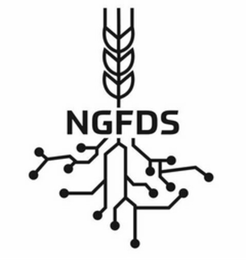 NGFDS Logo (USPTO, 24.04.2020)
