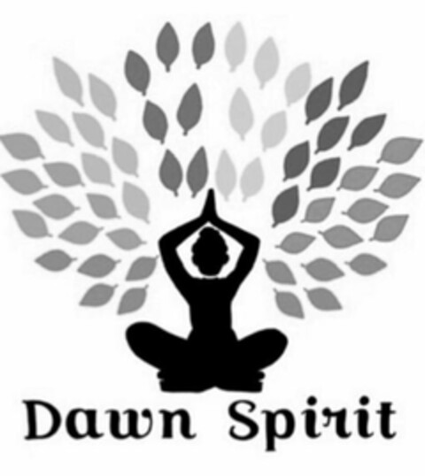 DAWN SPIRIT Logo (USPTO, 17.06.2020)