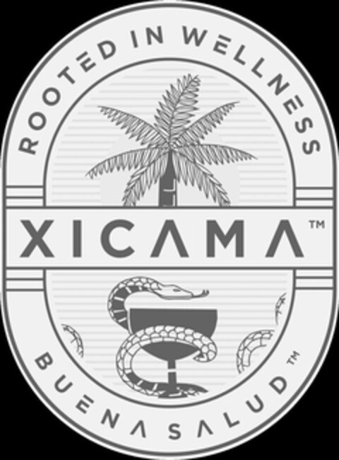 ROOTED IN WELLNESS XICAMA BUENA SALUD Logo (USPTO, 28.09.2019)