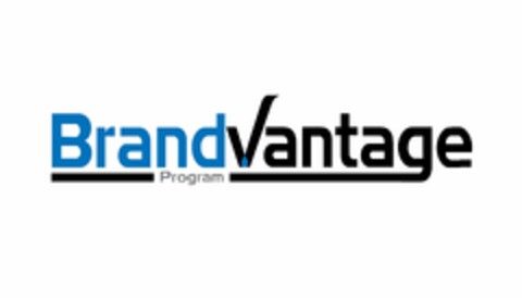 BRANDVANTAGE PROGRAM Logo (USPTO, 31.01.2020)