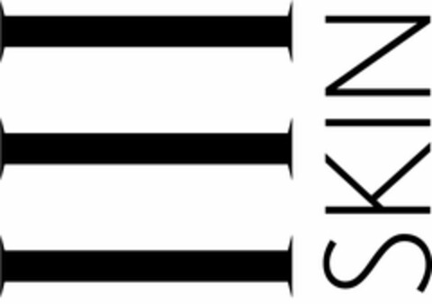SKIN Logo (USPTO, 06/17/2020)