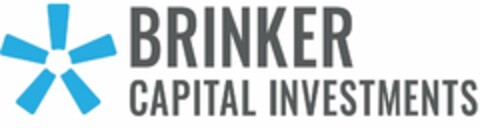 BRINKER CAPITAL INVESTMENTS Logo (USPTO, 28.07.2020)