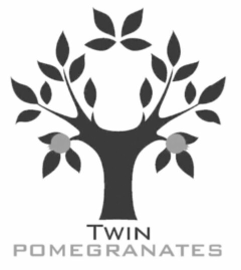 TWIN POMEGRANATES Logo (USPTO, 04.06.2010)