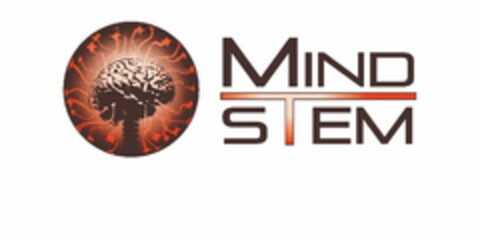 MINDSTEM Logo (USPTO, 12.05.2013)