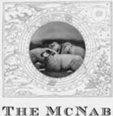 THE MCNAB Logo (USPTO, 09.10.2014)