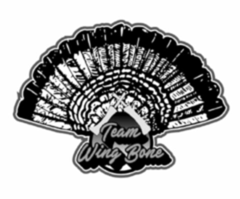 TEAM WING BONE Logo (USPTO, 08/11/2017)