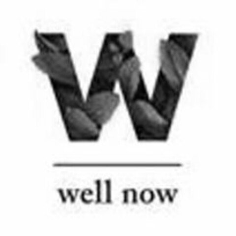 W WELL NOW Logo (USPTO, 02/13/2018)