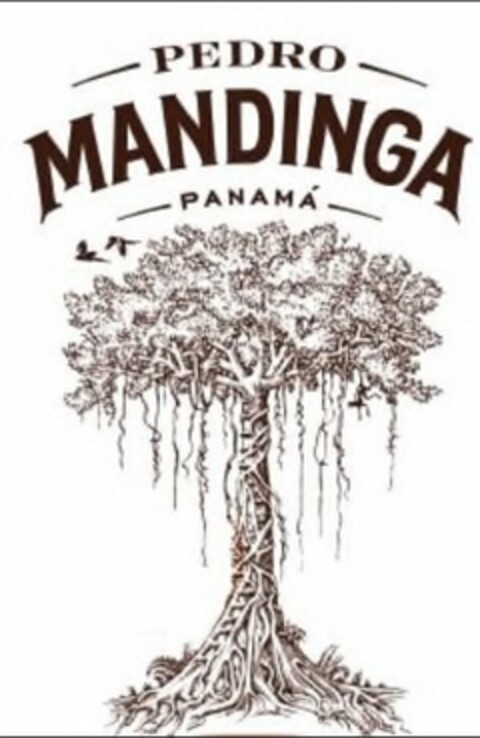 PEDRO MANDINGA PANAMA Logo (USPTO, 12/28/2018)