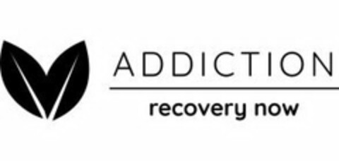 ADDICTION RECOVERY NOW Logo (USPTO, 29.01.2019)