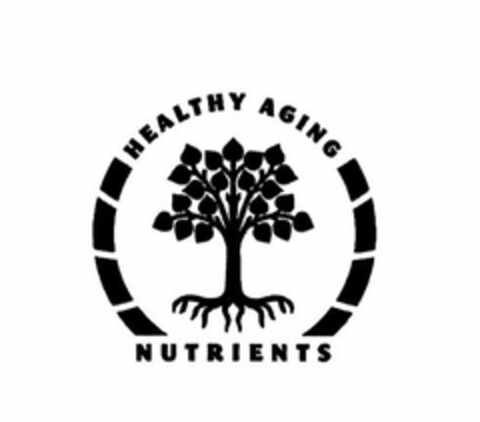 HEALTHY AGING NUTRIENTS Logo (USPTO, 05.04.2019)