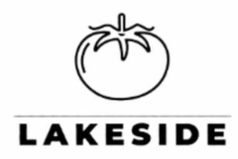 LAKESIDE Logo (USPTO, 05/14/2020)