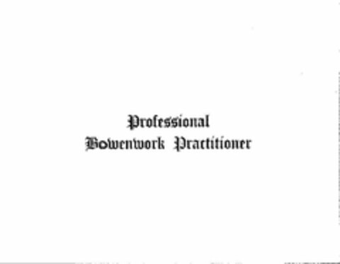 PROFESSIONAL BOWENWORK PRACTITIONER Logo (USPTO, 05.03.2009)