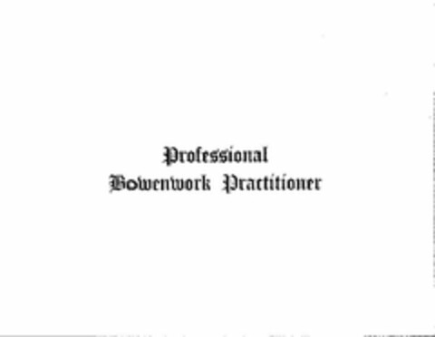 PROFESSIONAL BOWENWORK PRACTITIONER Logo (USPTO, 03/05/2009)